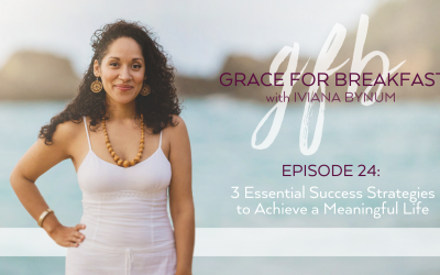 Ep 24: 3 Success Strategies for a Meaningful Life